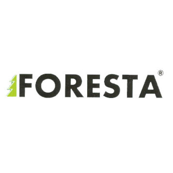 Запчастини до бензопили FORESTA